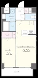 ザパーク亀戸の物件間取画像